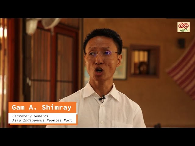 Demystifying “Lack of Political Will”: Message by Gam A. Shimray on the 13th Anniversary of the UNDRIP