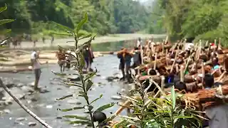 This Video of Sumi Naga Community Fishing has over 1 million views – Watch Now